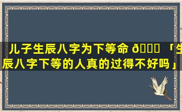 儿子生辰八字为下等命 🐋 「生辰八字下等的人真的过得不好吗」